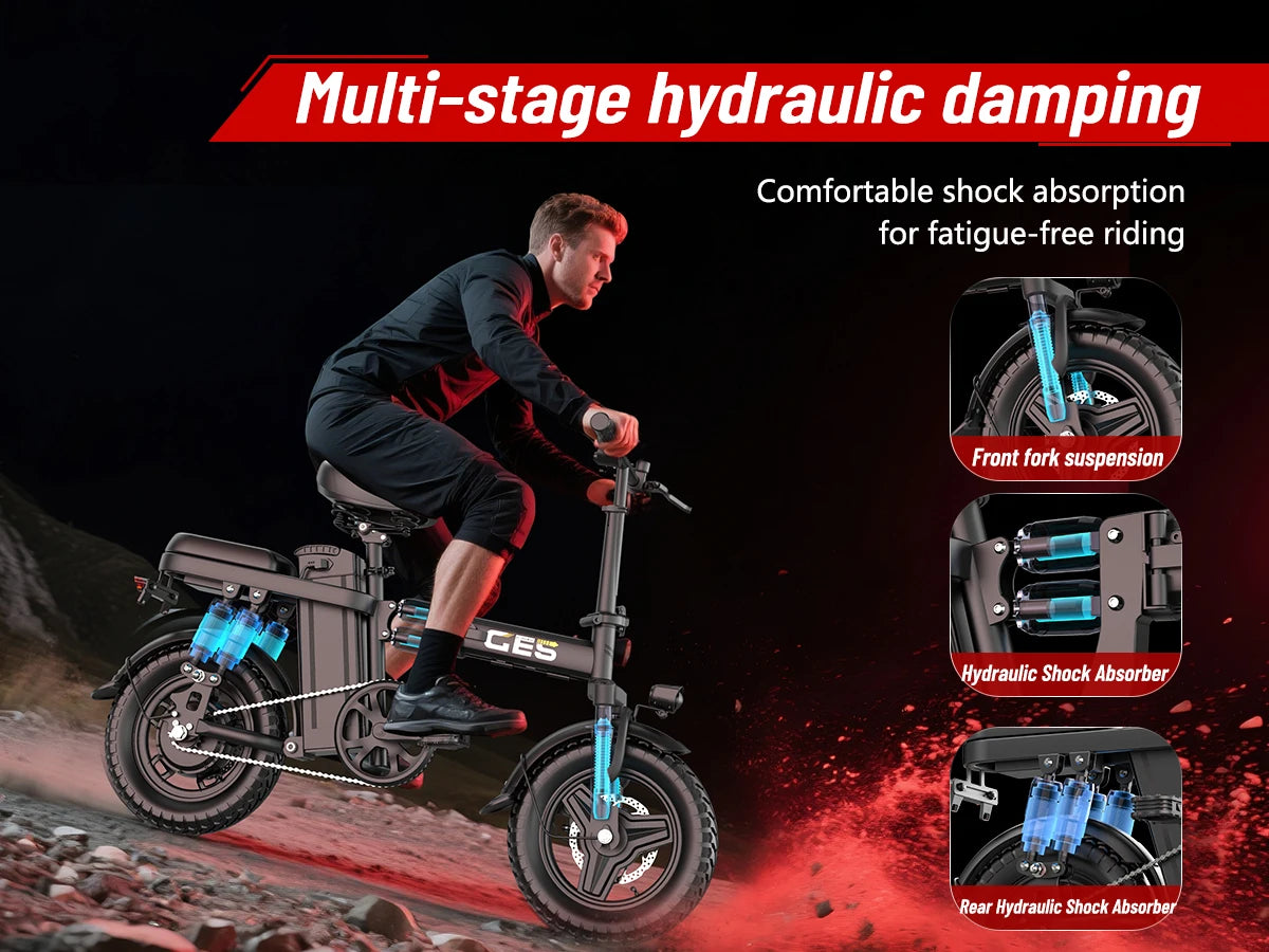 Electric Bicycle 250W