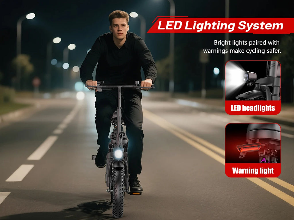 Electric Bicycle 250W