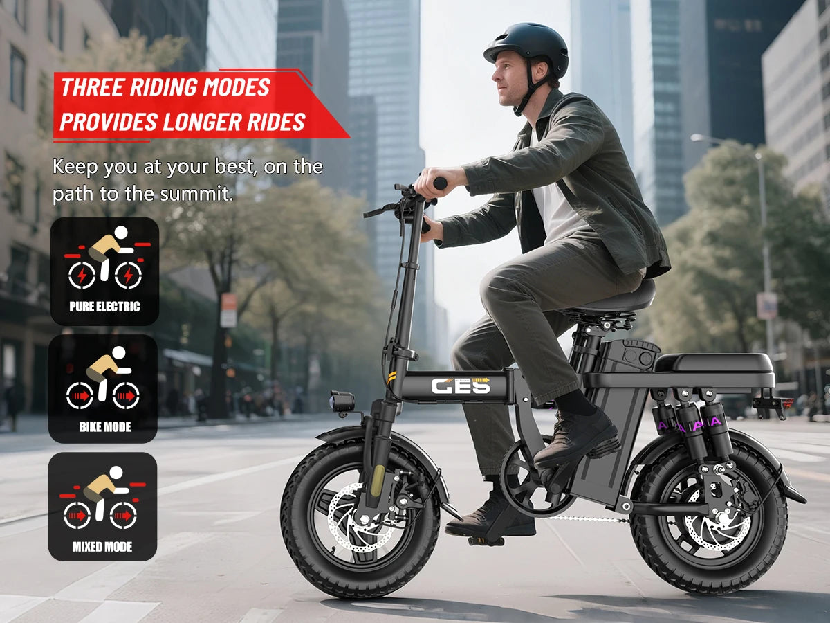 Electric Bicycle 250W