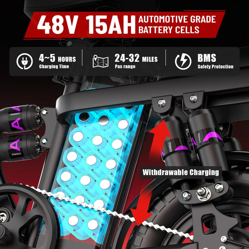 Electric Bicycle 250W