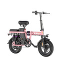 Electric Bicycle 250W