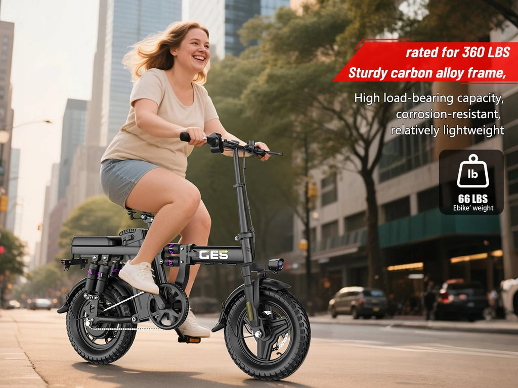 Electric Bicycle 250W