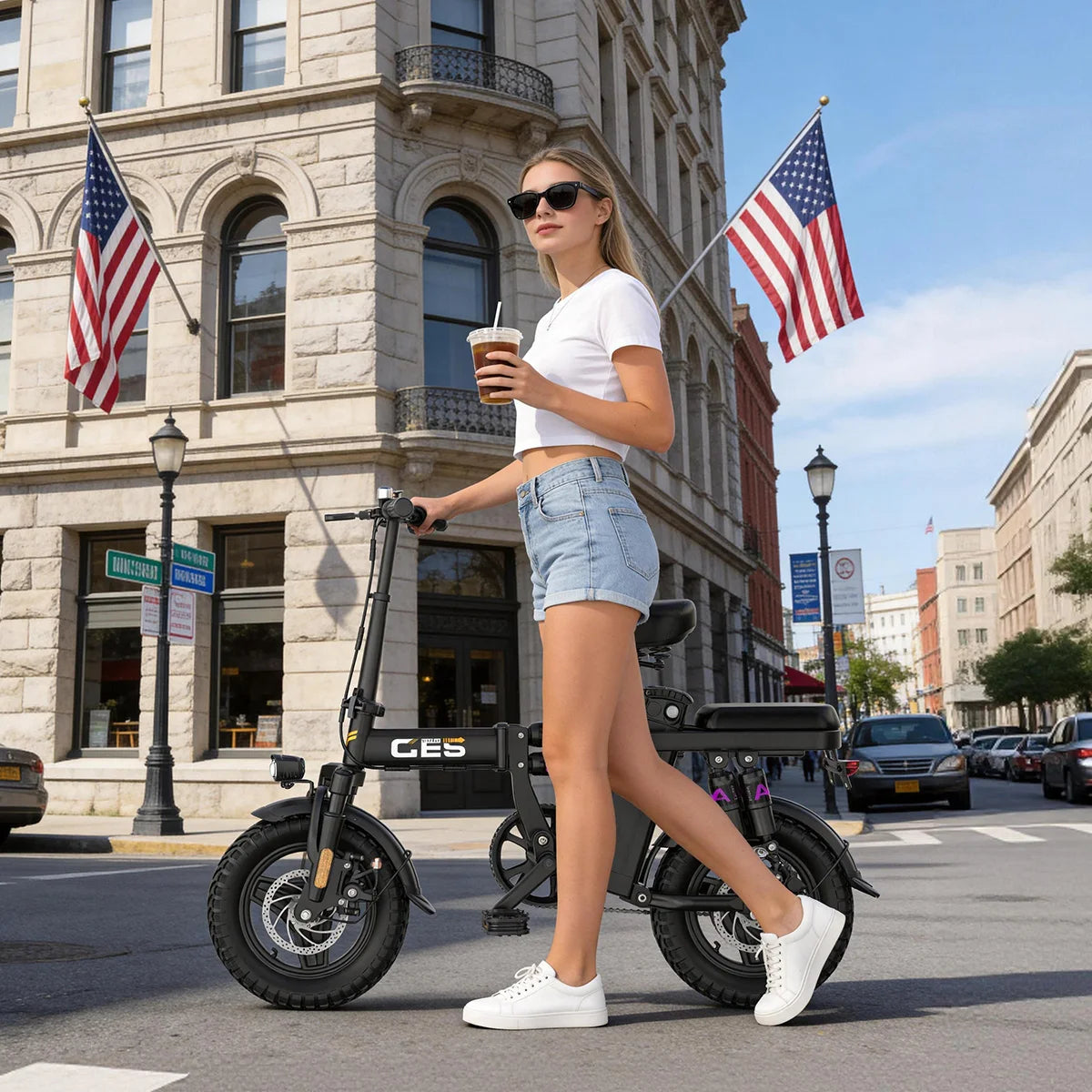 Electric Bicycle 250W